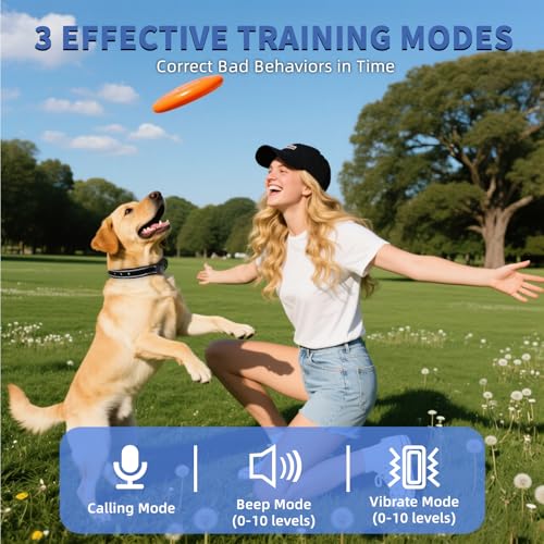 BUKEWIT Anti-Bell-Halsband für Hunde, Trainingshalsband mit Fernbedienung, 3 Trainingsmodi, Sound/Vibration/Piepton, wiederaufladbares E-Halsband mit 1200 m Reichweite, Bell-Halsbänder für große
