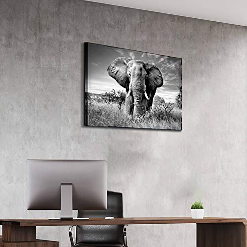 Artistic Path Elephant Picture Canvas Wall Art: African Wild Animals Artwork Painting Print For Living Room (36''W X 24''H,Multi-Sized) #TOP3
