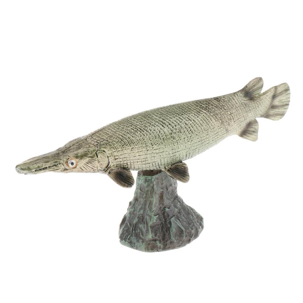 Enakshi (LABEL) Creations Simulation Ocean Animals Model Figure Educational Toys Alligator Gar BToys & Hobbies|Educational|Science & Nature|Animals & Nature