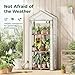 Bamworld Mini Greenhouse for Outdoor 3-Tierd Reusable Portable Warm House with PE Cover Compact Garden and Backyards Portable Rack with Sturdy Eucalyptus Frame Winter-Proof for Plant Protection