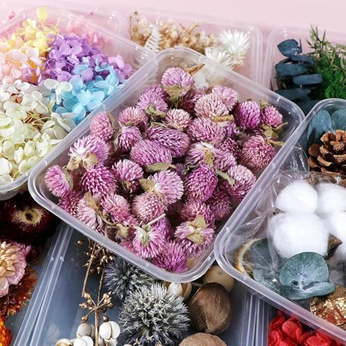 Caja de flores secas para velas y decoración miniatura 5