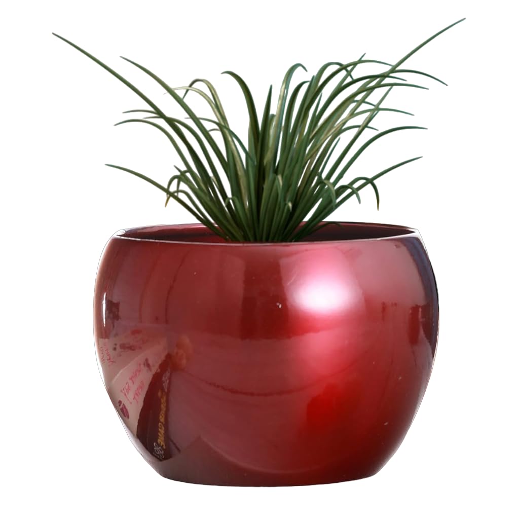 Aarav Decorative Small Pot | Multipurpose Table Pot | Indoor Plants Pots | Flower Pot for Live Plant Indoors, Living Room Decor, Home/Office Decoration (5.5 x 4.5 inch) Red (Plants not included) (B0CK61D6F4) Amazon Price History, Amazon Price Tracker