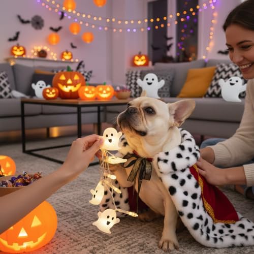 Lovelyshop Pet Serial Lux Fell Katze Hund Umhang für Halloween Kostüme, König Königin Prinz und Prinzessin, Cosplay-M/übergroß Rot