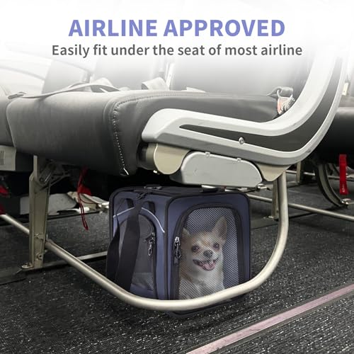 Petsfit Transporttasche Katze & Hundetasche Flugzeug | Flugtasche für Hunde & Transportbox Katze | Flugtaugliche Haustiertasche | Sicherer Transport in Auto, Flugzeug und Bahn, M/Blau