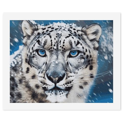 Peinture par numéros léopard des neiges 47x56.9 cm toile adulte débutant