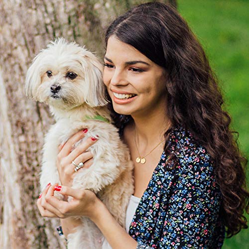 Dog Lover Gifts For Women Necklaces, 14K Gold Filled Dog Mom Gifts Letter Initial Necklace Women Girls Alphabet Disc Puppy Paw Print Necklace Pet Dog Lovers Gifts For Dog Mom #TOP1