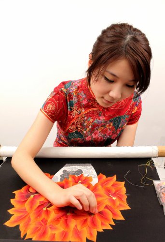 King Silk Art 100% Handmade Embroidery Multiple Frame Dragonfly & Ladybug Oriental Wall Hanging Art Asian Decoration Tapestry Artwork Picture Gifts 33019_33037Wfb1 #TOP4