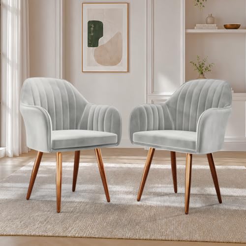 Image of Vergo Plush Velvet Dining Chair, Cushion Seat, Wooden Frame, Metal Legs, Premium Accent Chair for Dining & Lounge Chair for Living Room, Bedroom & Balcony (Set of 2, Light Grey)