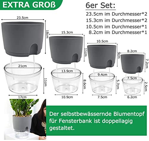 Petersilie und Minze autark für bis zu 14 Tage mit Wasser aus dem 0 - Detailansicht von iDattel Kräutertopf Set...