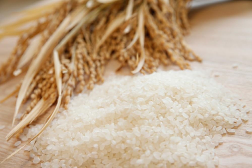 Amazon.co.jp: 青森県産 こめ(米) まっしぐら 10kg (または5kg×2袋）令