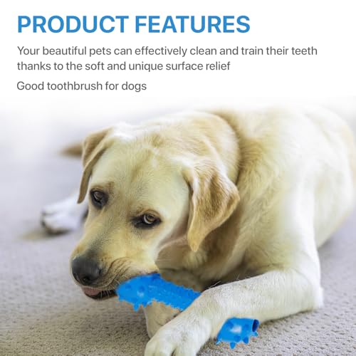 Image of Durable Chew Toy Dumbbell for Dogs and Cats - Durable Soft Natural Rubber Squeaky Spiky Dumbbell |Dental Teething Cleaning Chew Toy(Blue)