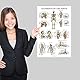 Palace Learning 3er-Pack – Muskel- + Skelett + Bänder der Gelenke Anatomie-Poster-Set – Muskel- und Skelettsystem – laminiert 45,7 x 61 cm