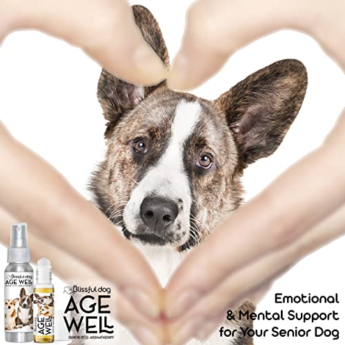 Image of The Blissful Dog Corgi Age Well Dog Aromatherapy Spray