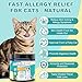 Leyoviz Cat Allergy Relief for Cats, 500 Crunchy Hypoallergenic Cat Itchy Skin Relief, Supports Skin Health & Digestion, Supports Immune System, Suitable for All Breeds, Kitten & Indoor Cats