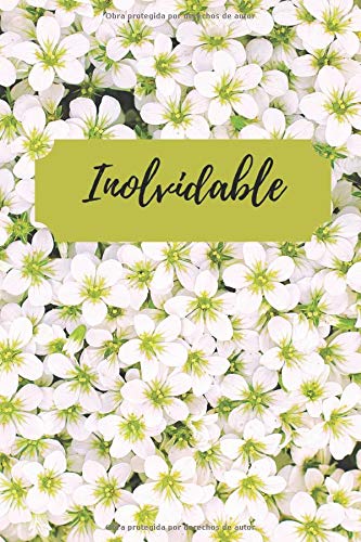 Inolvidable: Agenda para Contraseñas de Internet - con Pestañas Alfabéticas en Letra Extra Grande Para Personas Mayores (Spanish Edition)