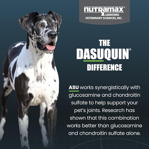 Nutramax Dasuquin MSM Joint Supplement, Large Dogs Chewable Tablets, 150ct - image 6