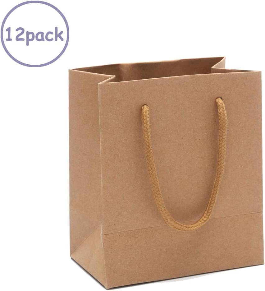12 Pack Brown Kraft Paper Bags Bulk with Handles,5.12"x3.15"x5.91"for Merchandise,Welcome Bag,Wedding Hotel Guests,Shopping Bag,Kraft Gift Bags,Party Bags,Food Packaging Bag,Weekend Party (Brown)