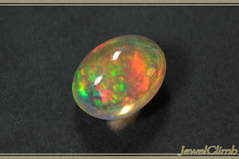 3 サンゴの化石 亀 大 天然石 菊目石 珊瑚 コラール 縁起物 魔除け