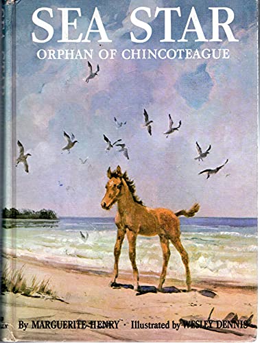 Sea Star, Orphan of Chincoteague 0528876872 Book Cover