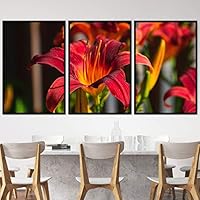 3 Piece Framed Canvas Wall Art Colorful Bohemian Bouquet Canvas Prints Home Artwork Decoration for Living Room,Bedroom - 16