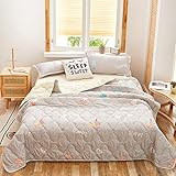 Colcha de Verano Colcha Acolchada para Cama, Chickwin Estilo