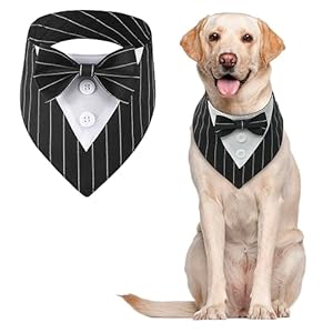 Bandana per cani a tema smoking, sciarpa triangolare formale per animali domestici, ideale per matrimoni, feste e compleanni, regolabile (taglia L, a righe)