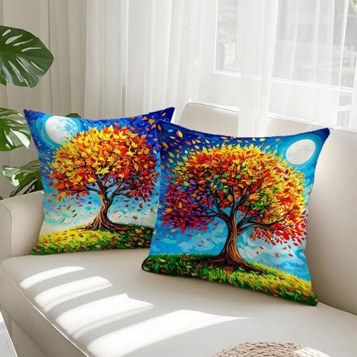 Housses de coussin velours double face de qualité supérieure 70x70 cm lot de 2 - 3