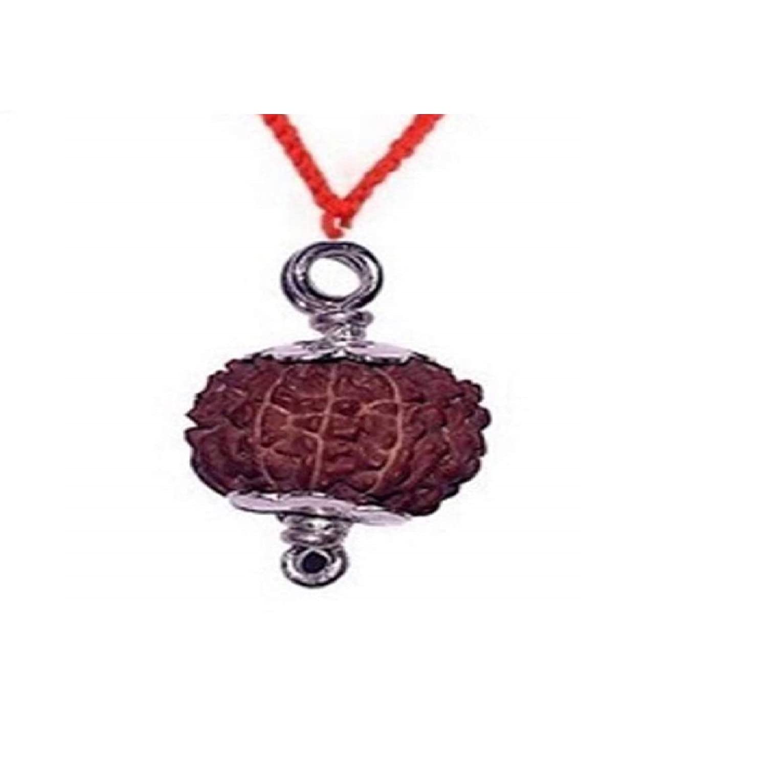 raviour lifestyle 9 Mukhi Rudraksha Pendant Nine Faced Nepali Rudraksh Bead Original & 100% Certified Pendant for Men and Women-picture-15
