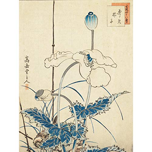 Fine Art Prints Sugakudo Kunstdruck mit Mohnblumen, extra groß, Premium-XL