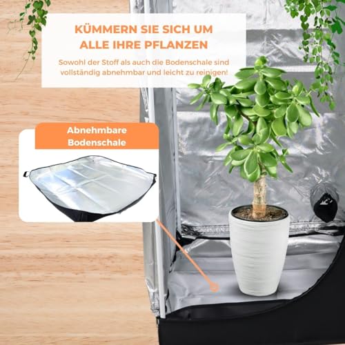Zelsius Growzelt "MyHomeGrow" Grow tent | Indoor Growbox | schwarz grün | Growroom Growschrank Darkroom Pflanzenzelt Gewächshaus Zuchtzelt (40 x 40 x 160 cm) 5 Zelsius Growzelt "MyHomeGrow" Grow tent | Indoor Growbox | schwarz grün | Growroom Growschrank Darkroom Pflanzenzelt Gewächshaus Zuchtzelt (40 x 40 x 160 cm) – Bild 5