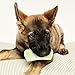 Tangle Teezer | Pet Teezer | Puppy Grooming Brush | Dry Brush or Dog Bath Brush | Mint
