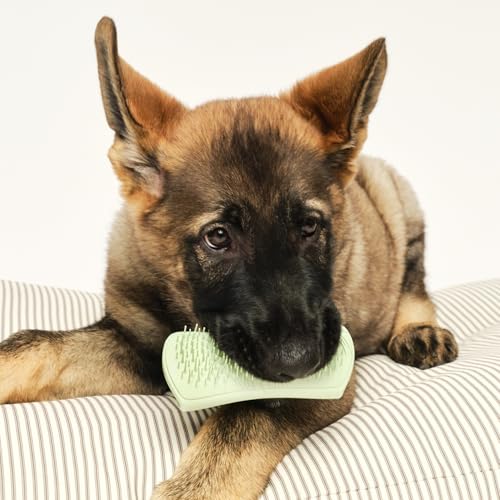 Tangle Teezer | Pet Teezer | Puppy Grooming Brush | Dry Brush or Dog Bath Brush | Mint