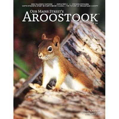 Our Maine Street's Aroostook Issue 30