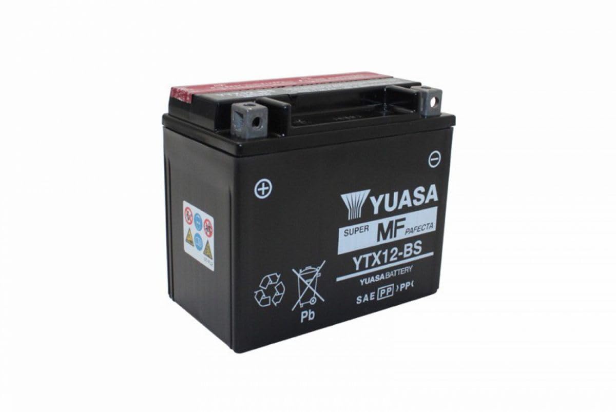 Amazon.com: YUASA YTX12-BS BATTERY : Automotive