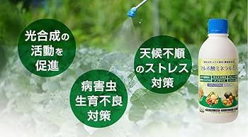 ミネラル Zelos ZX-6 Bronze Automatic Chronograph Meteorite