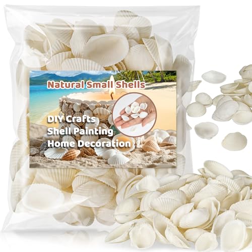 MAQIHAN 90 PCS White Sea Shells - 0.8-1.2 in Small Clam Shells for Crafts Tiny SeaShells Bulk for Decorating Beach Theme Party Vase Filler Fish Tank