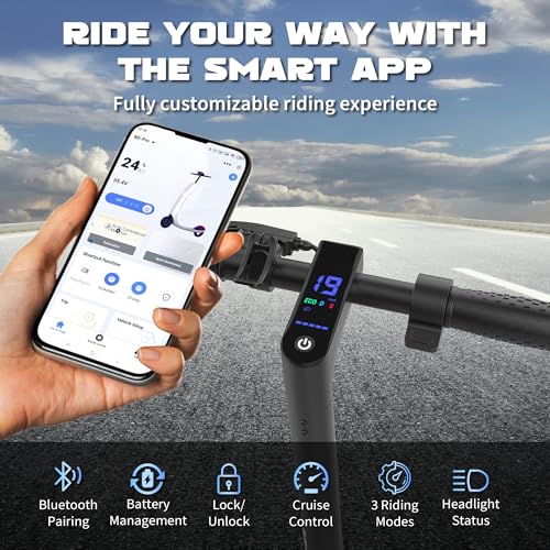 Electric Scooter Adults with Dual Suspensions, 350W/500W
