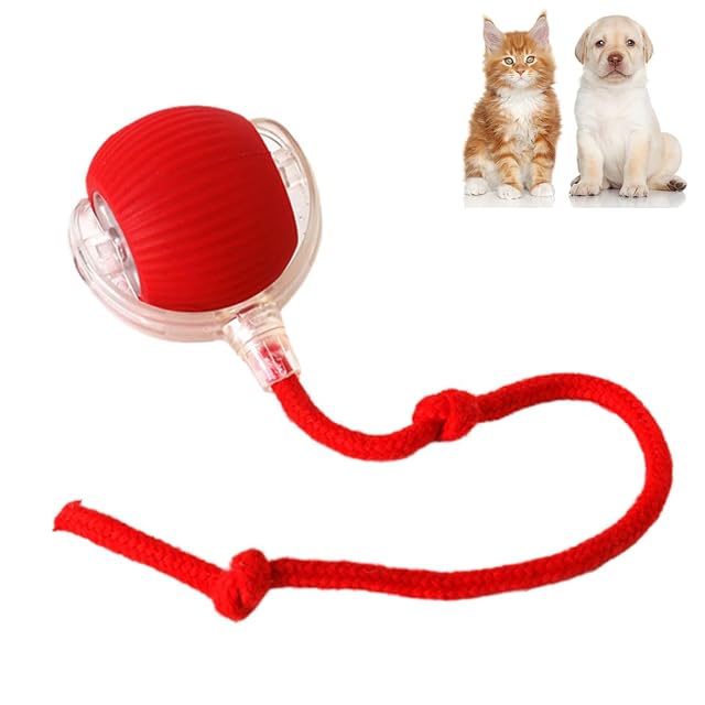 heofonm Rolling Ball Dog Toy, Interactive Rolling Dog Ball, Automatic Rolling Ball for Dogs & Cat