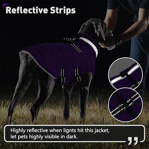 Image of Dogcheer Dog Coat with Harness, Waterproof Dog Fleece Jacket - Purple,XL