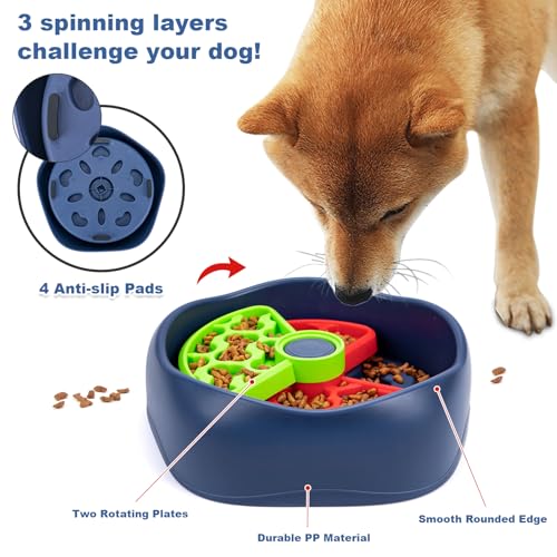 Gamelle slow feeder chien moyen pour ralentir la déglutition et stimuler l'intelligence