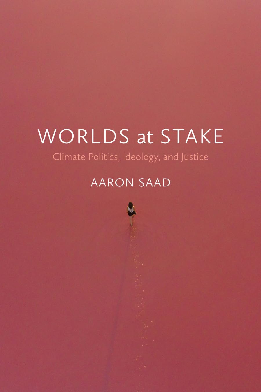 Buy Worlds at Stake: Climate Politics, Ideology, and Justice — BookShops.in