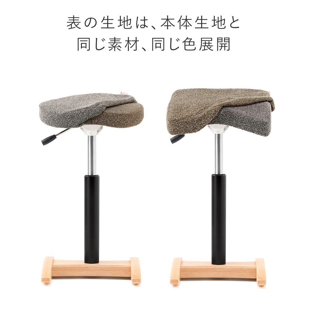 Amazon｜バランスラボ バランスシナジー専用 シックカバー クッション