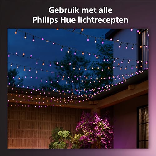 Philips Hue Festavia lichtsnoer - 20 meter - 250 LED's