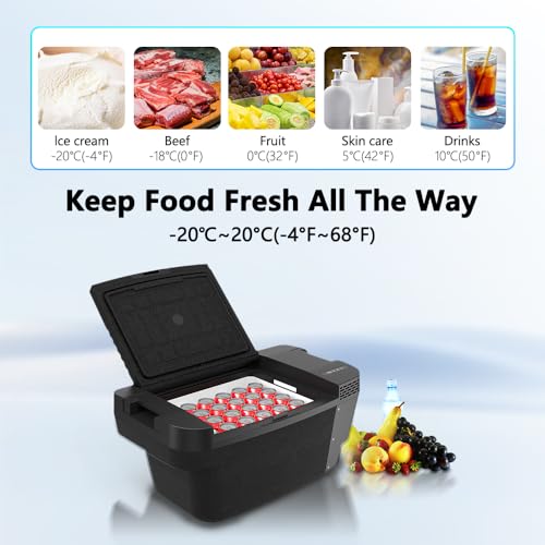 Alpicool TSL35 35L Kompressor Kühlbox für Tesla Model Y, 12v Mini Kühlschrank Elektrische Auto kühlschrank Camping Gefrierbox Klein Tragbare für Auto (Für 2024 und frühere Versionen)