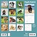 Playful Puppies Calendar 2026