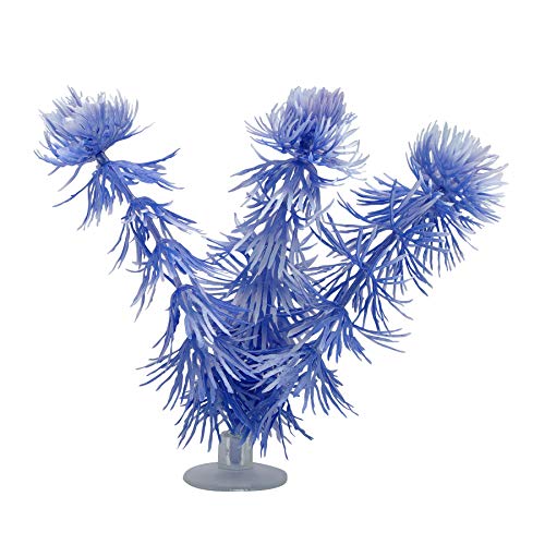 Marina Betta Hornwort Plant with Suction Cup, 12.7 cm, Blue, Baby Blue, 5 Inches