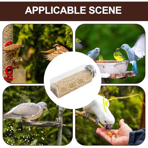 Futterspender für Wachteln – transparenter Futterspender für Küken, Vogeltränke mit 4 Ports, kompaktes Flaschendesign | Futterzubehör für