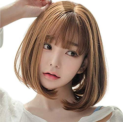 [z[X] EBbO Z~O {u V[g J[ ӂ R  ϔM  fB[X C`F lbgt (ubN)