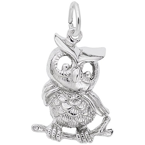Owl Charm, Charms for Bracelets and Necklaces