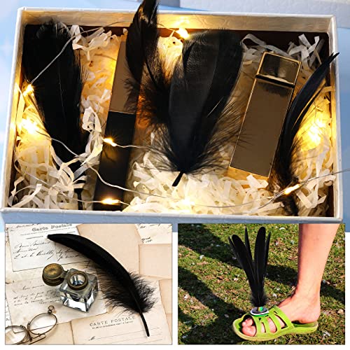 500 Pcs Halloween Black Assorted Crafts Feathers 4 Styles Mixed Feathers Black Feathers For Crafts Chicken Turkey Goose Feathers Supplies For Diy Wedding Home Party Costume Clothing Accessories #TOP5